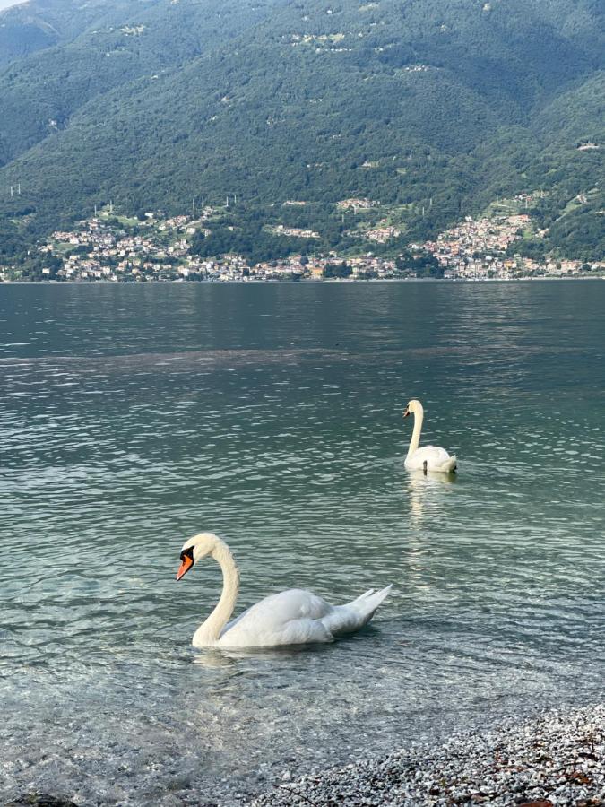 Casa Martina - A Quiet Home By The Lake 科利科 外观 照片
